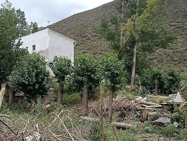 Lote en Venta en Lujan de Cuyo, Mendoza