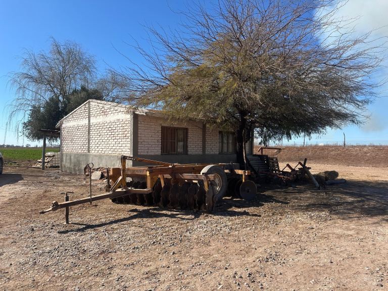 Finca en Venta en Lavalle, Mendoza