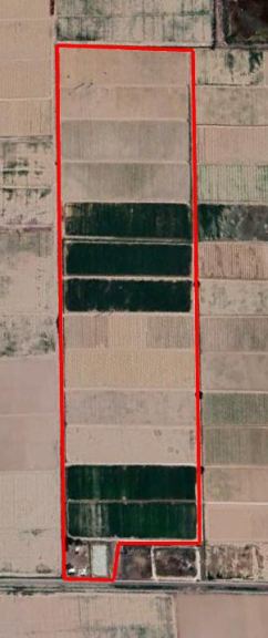 Finca en Venta en Lavalle, Mendoza