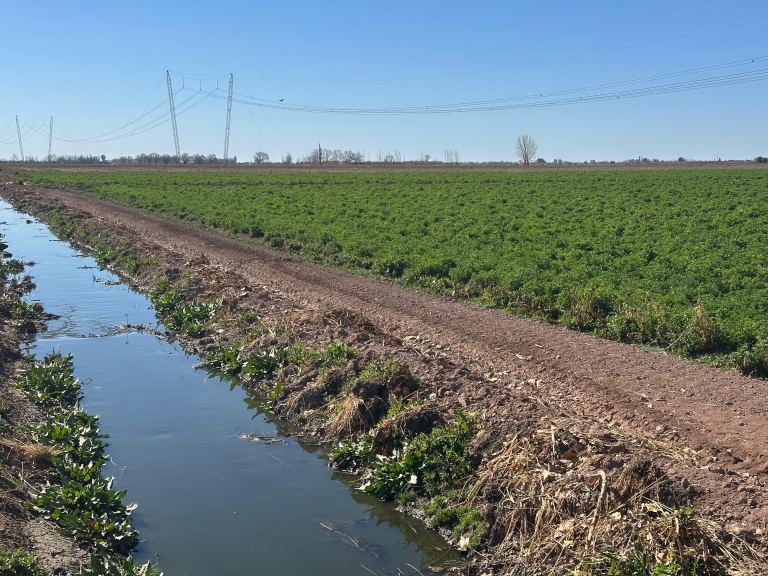 Finca en Venta en Lavalle, Mendoza