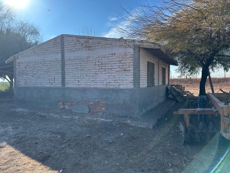 Finca en Venta en Lavalle, Mendoza