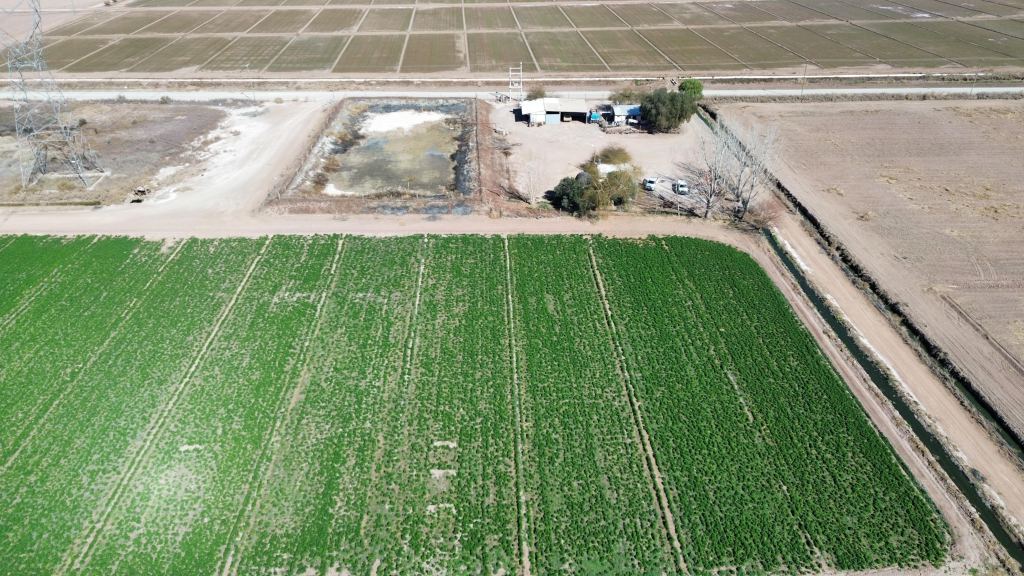 Finca en Venta en Lavalle, Mendoza