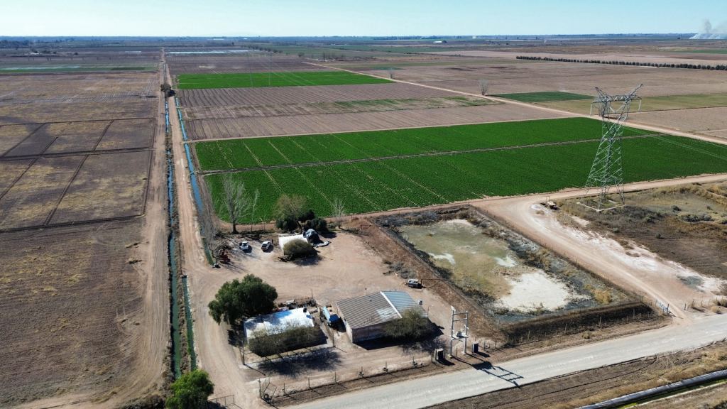 Finca en Venta en Lavalle, Mendoza