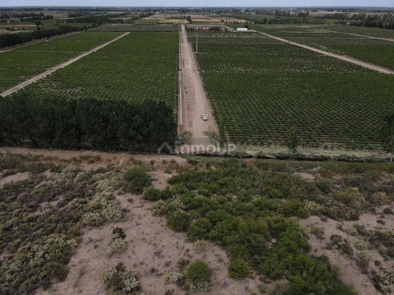 Finca en Venta en Lavalle, Mendoza