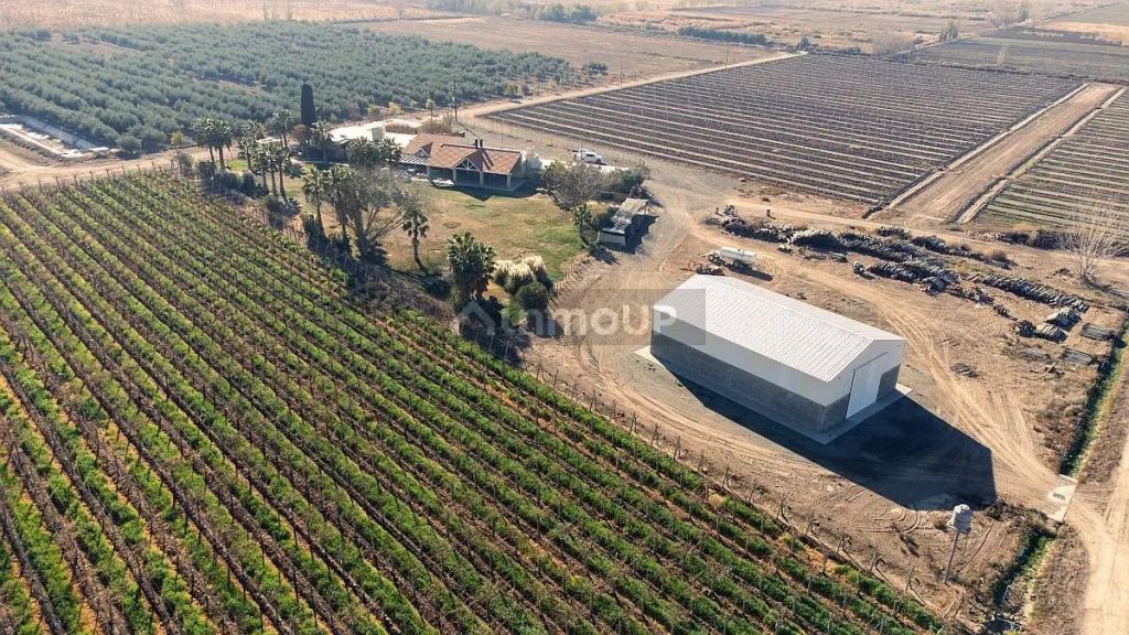 Finca en Venta en Lavalle, Mendoza