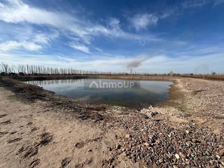 Finca en Venta en Lavalle, Mendoza