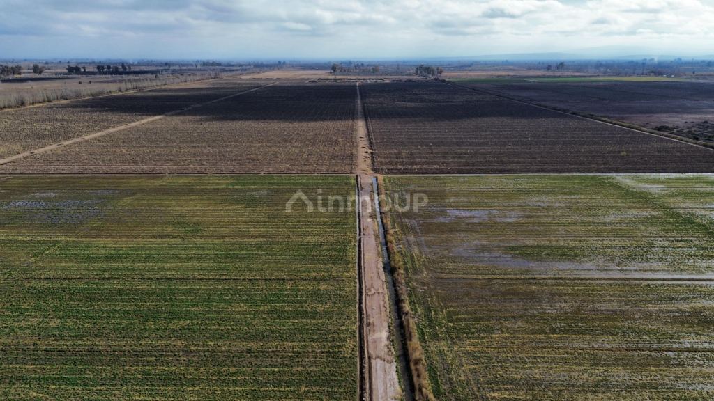 Finca en Venta en Lavalle, Mendoza