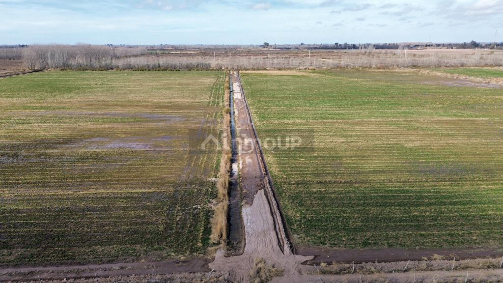 Finca en Venta en Lavalle, Mendoza