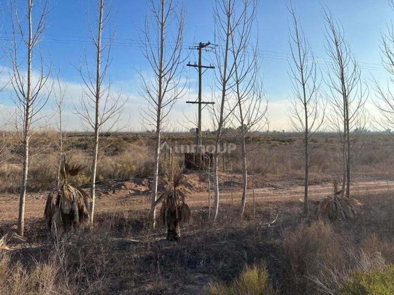 Finca en Venta en Maipu, Mendoza