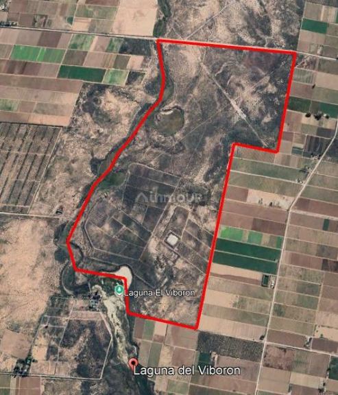 Finca en Venta en Maipu, Mendoza
