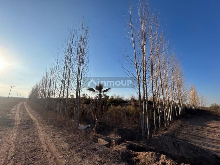 Finca en Venta en Maipu, Mendoza