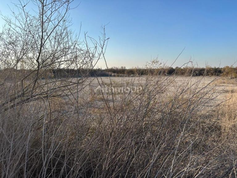 Finca en Venta en Maipu, Mendoza