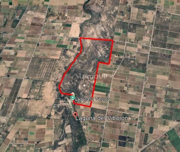 Finca en Venta en Maipu, Mendoza
