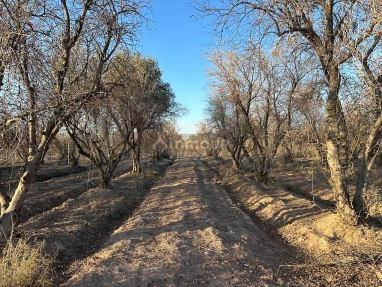 Finca en Venta en Maipu, Mendoza
