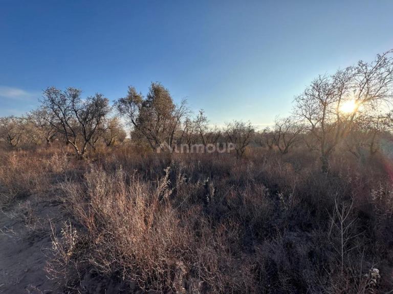 Finca en Venta en Maipu, Mendoza