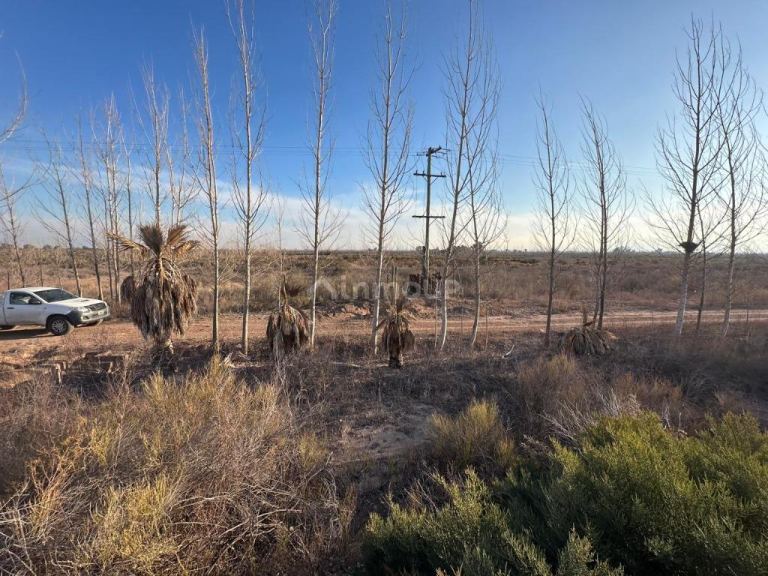 Finca en Venta en Maipu, Mendoza