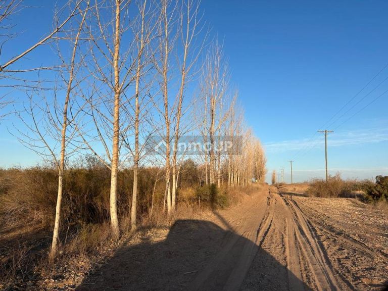 Finca en Venta en Maipu, Mendoza