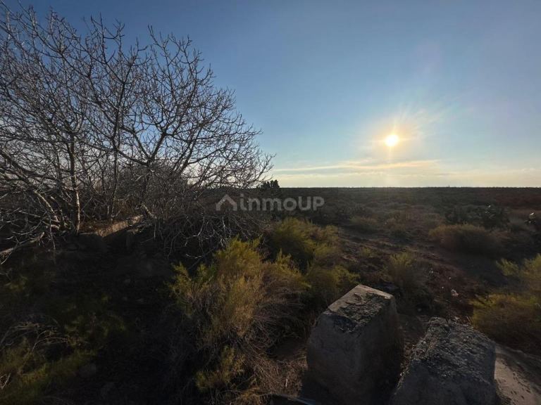 Finca en Venta en Maipu, Mendoza