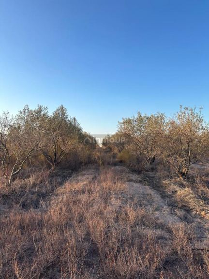 Finca en Venta en Maipu, Mendoza