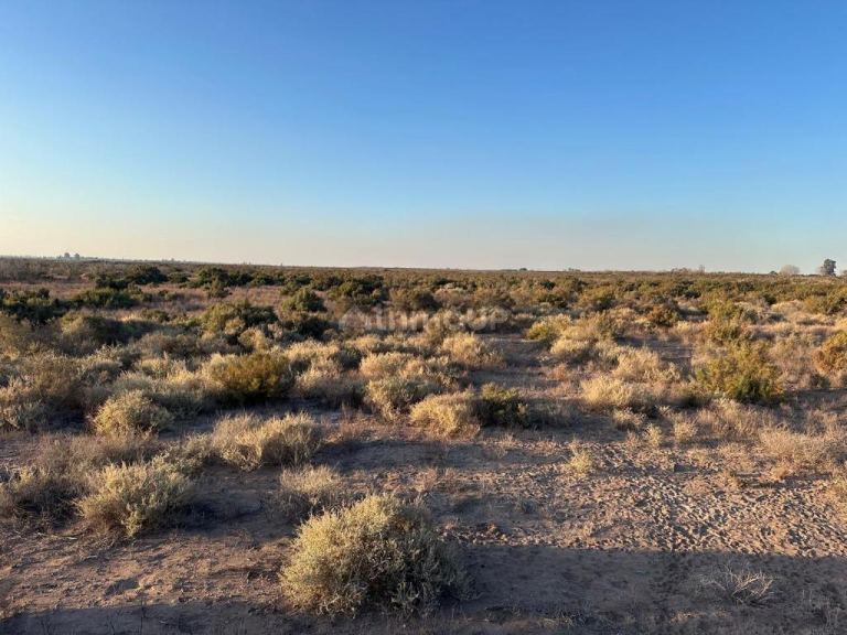 Finca en Venta en Maipu, Mendoza