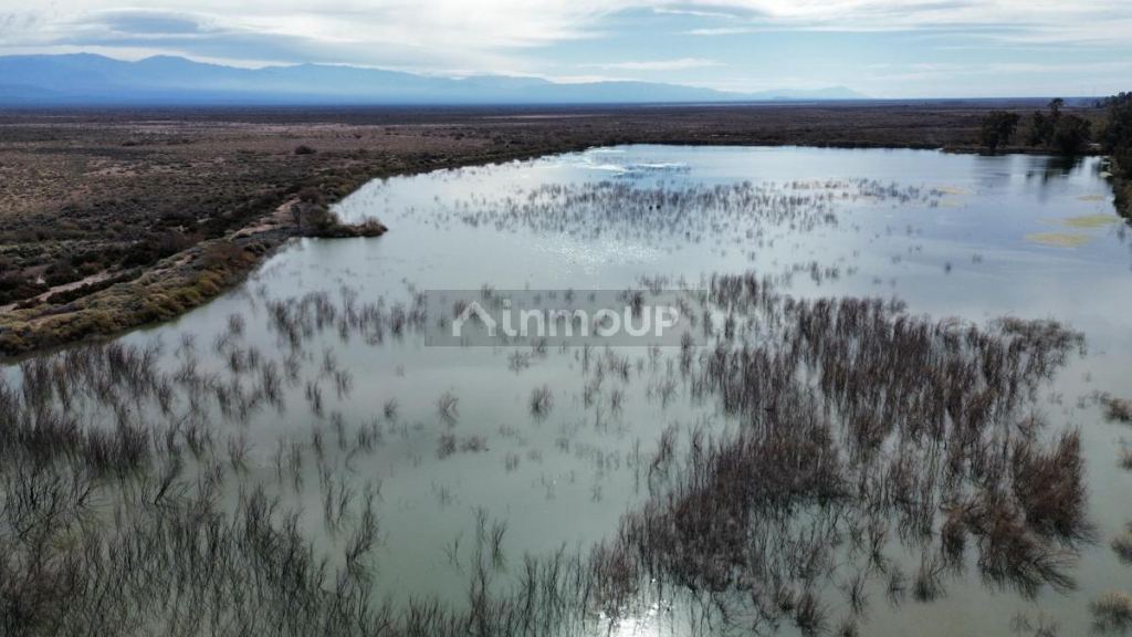 Finca en Venta en Lavalle, Mendoza