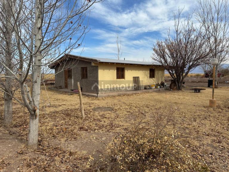 Finca en Venta en Lavalle, Mendoza