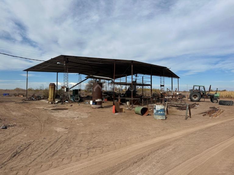 Finca en Venta en Lavalle, Mendoza