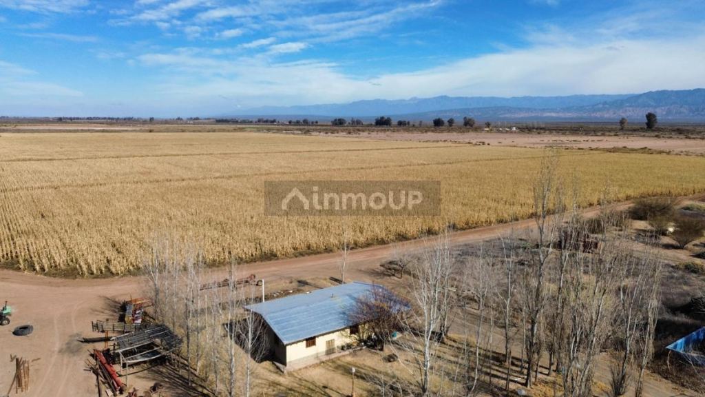 Finca en Venta en Lavalle, Mendoza