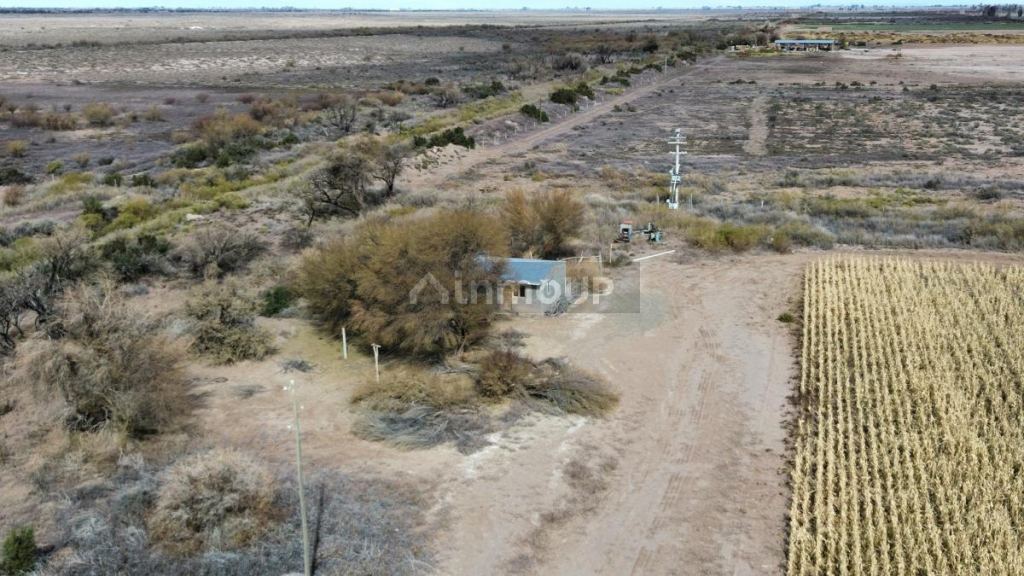Finca en Venta en Lavalle, Mendoza