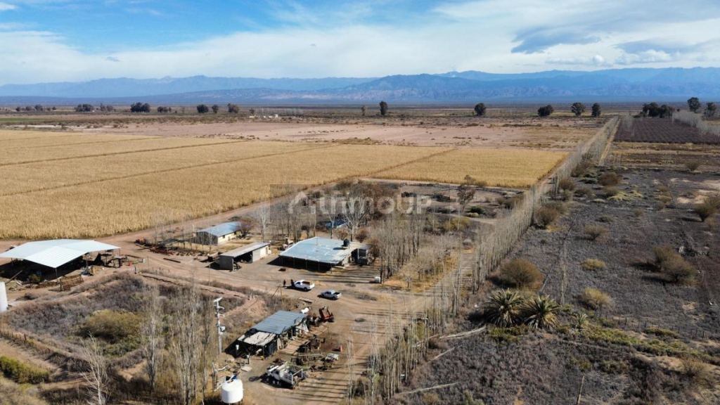 Finca en Venta en Lavalle, Mendoza