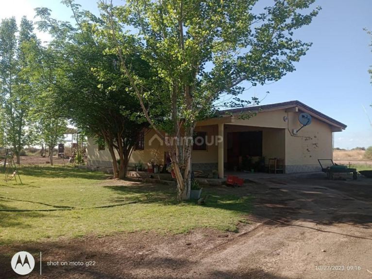 Finca en Venta en Lavalle, Mendoza