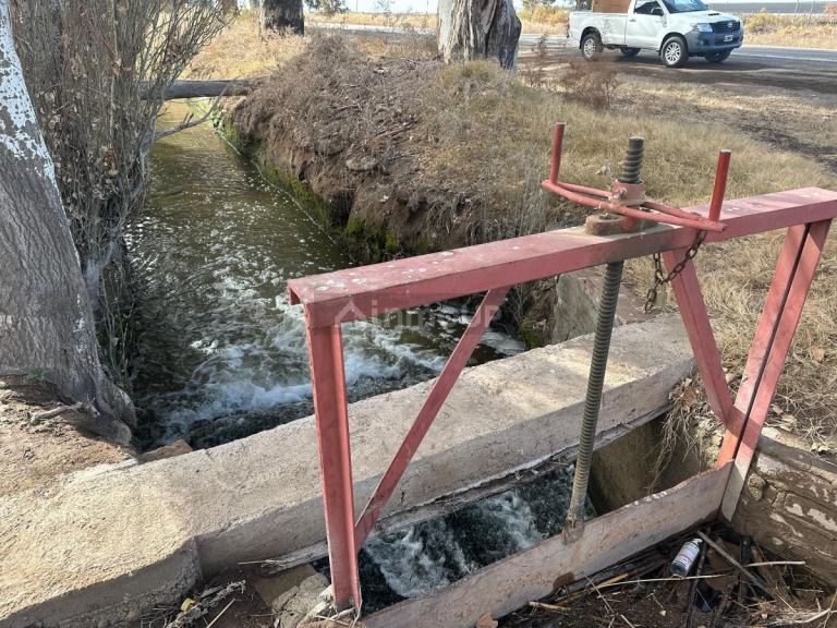 Finca en Venta en Lavalle, Mendoza