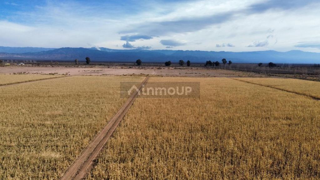 Finca en Venta en Lavalle, Mendoza