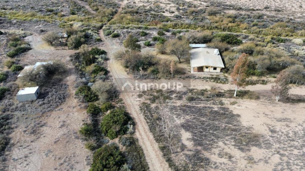 Finca en Venta en Lavalle, Mendoza