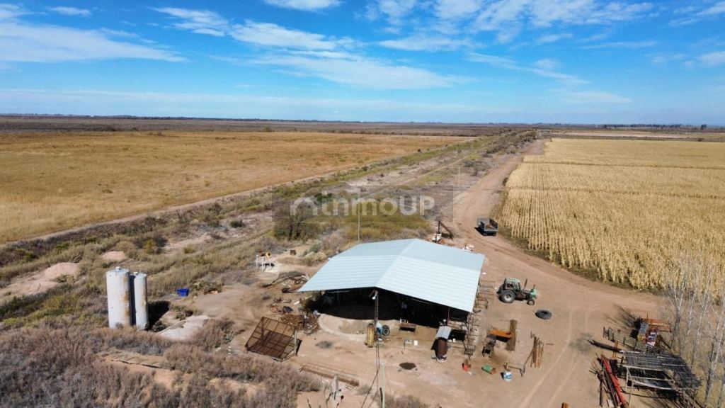 Finca en Venta en Lavalle, Mendoza