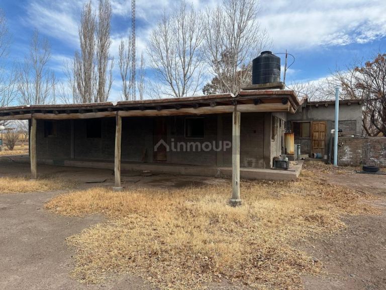 Finca en Venta en Lavalle, Mendoza