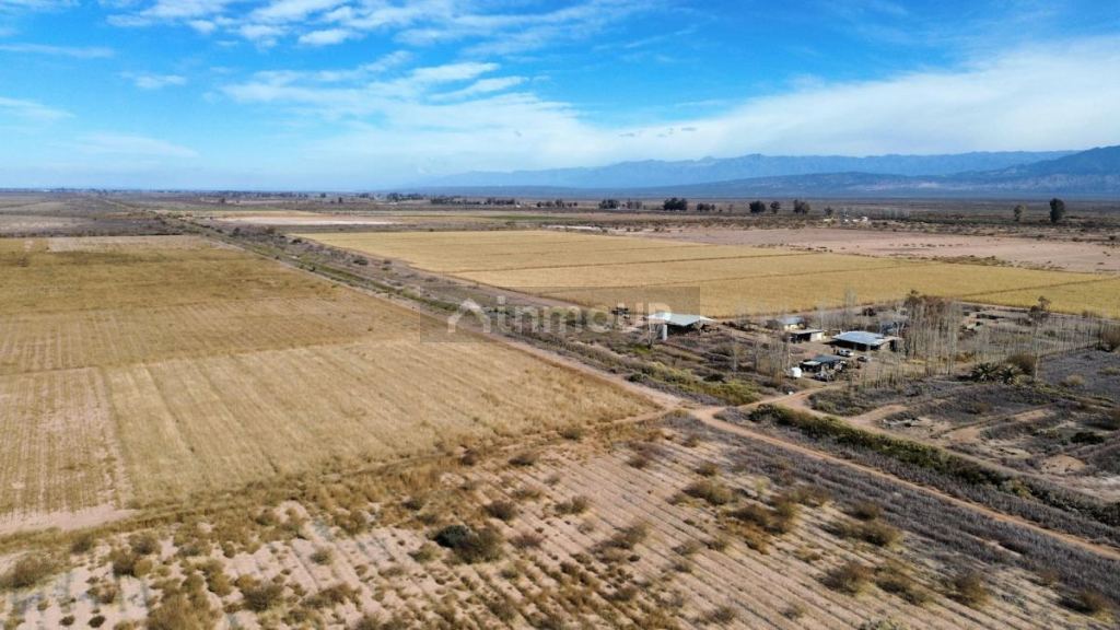 Finca en Venta en Lavalle, Mendoza