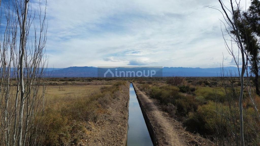 Finca en Venta en Lavalle, Mendoza