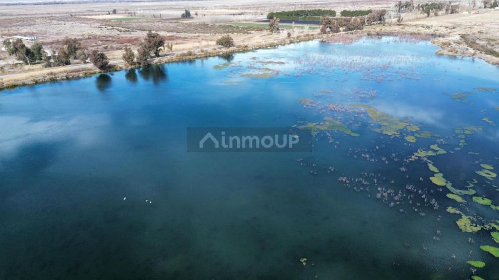 Finca en Venta en Lavalle, Mendoza