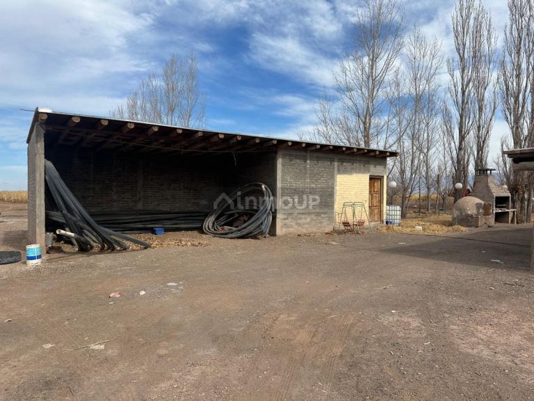 Finca en Venta en Lavalle, Mendoza