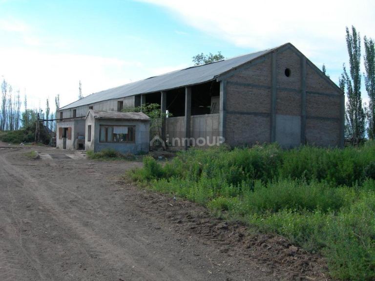 Bodega en Venta en Lavalle, Mendoza