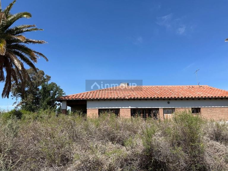 Bodega en Venta en Lavalle, Mendoza