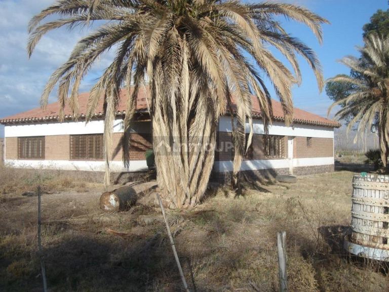 Bodega en Venta en Lavalle, Mendoza