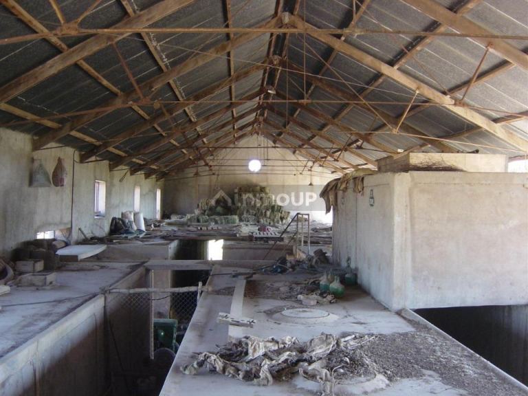 Bodega en Venta en Lavalle, Mendoza