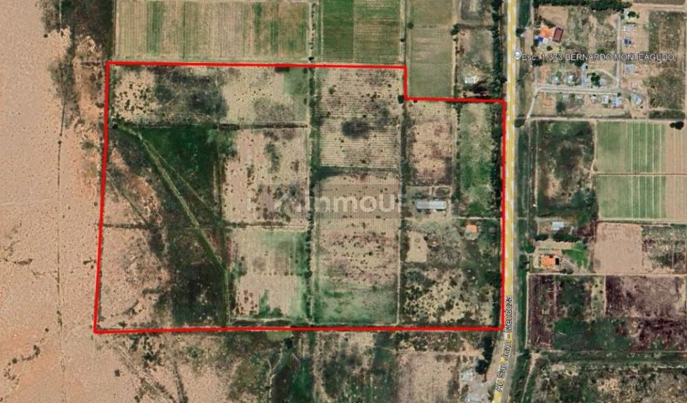 Bodega en Venta en Lavalle, Mendoza