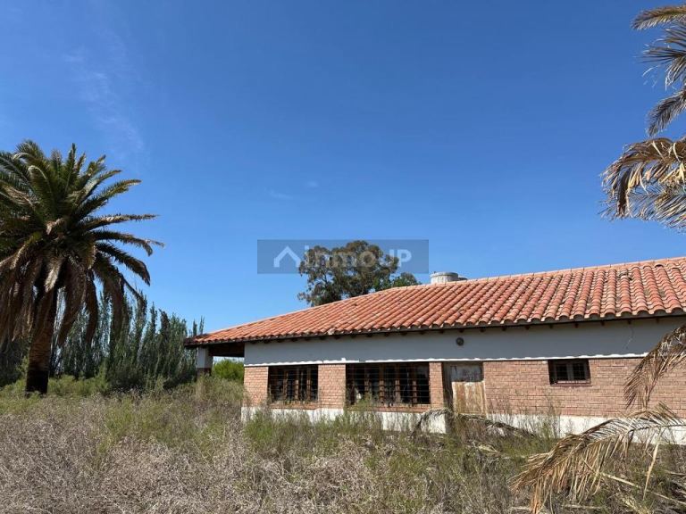 Bodega en Venta en Lavalle, Mendoza