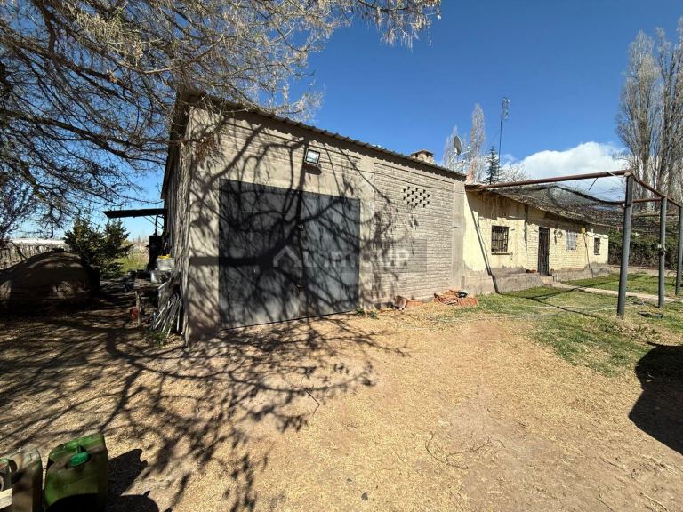 Finca en Venta en Lujan de Cuyo, Mendoza