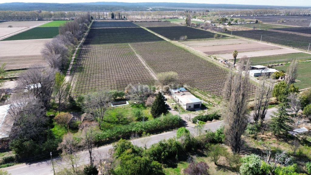 Finca en Venta en Lujan de Cuyo, Mendoza