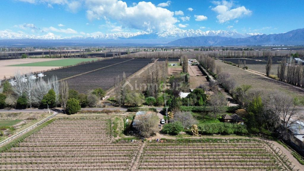 Finca en Venta en Lujan de Cuyo, Mendoza
