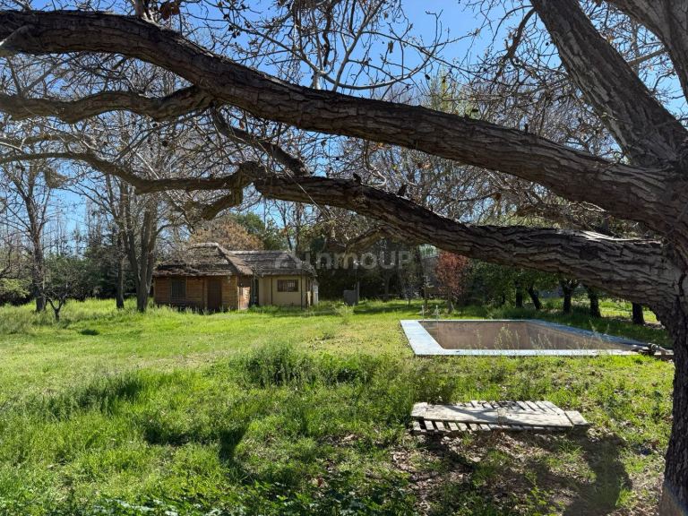 Finca en Venta en Lujan de Cuyo, Mendoza